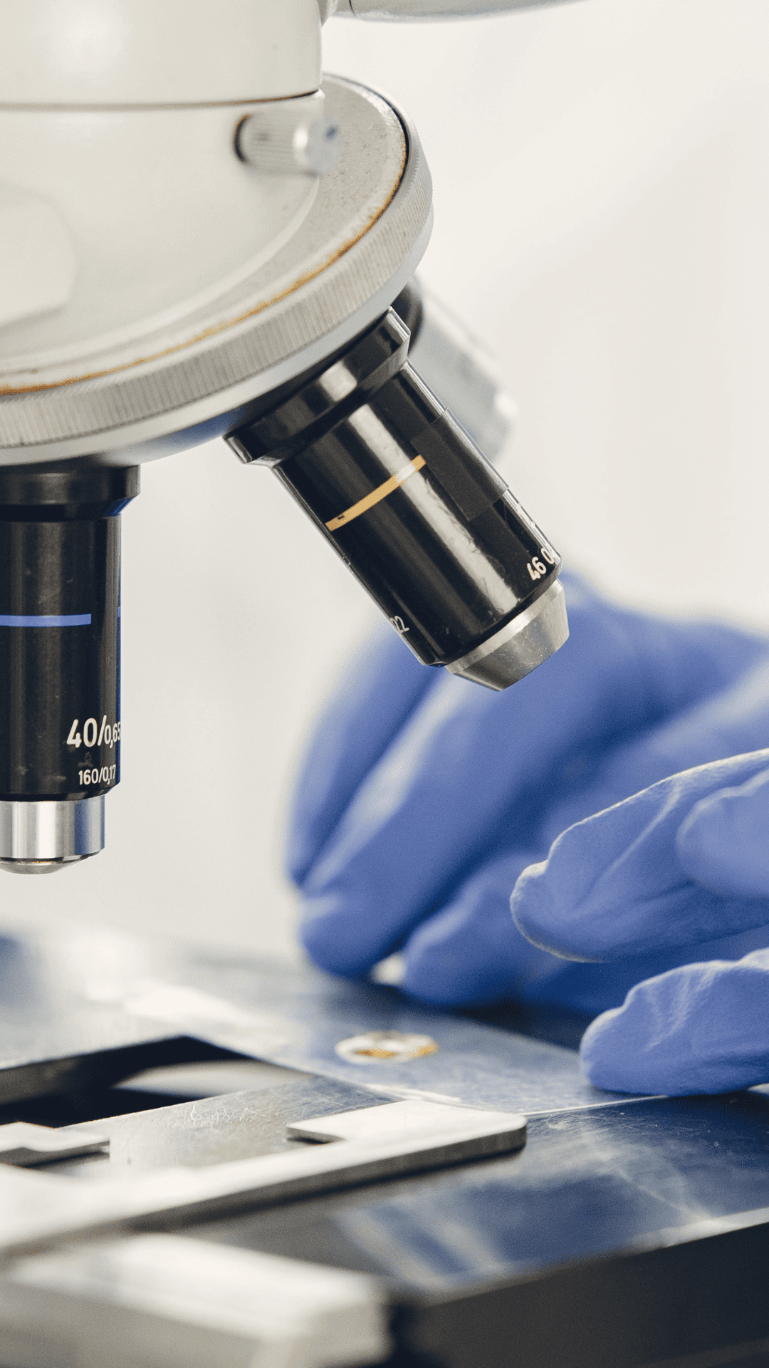 A person in blue gloves examines a microscope, focusing intently on the specimen under the lens.